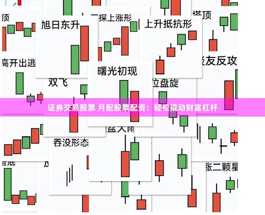 证券交易股票 月配股票配资：轻松撬动财富杠杆